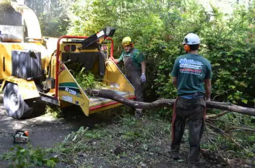 tree services Black Rock